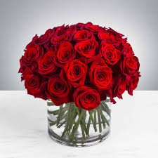 PICK YOU UP ! 36 RED ROSES