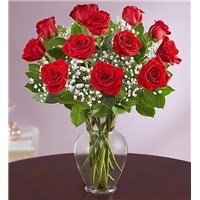 **Romantic Love Roses – Say ‘I Love You