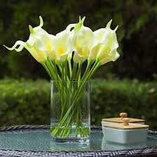Elegant Mini Calla Lilies
