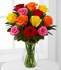 Mixed Long Stem Roses - VASE