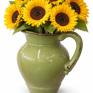 HAPPY SUNNY DAY !