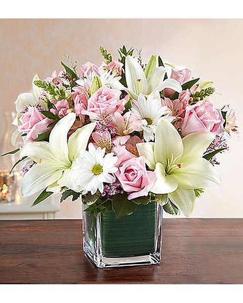 Healing Tears Pink & White