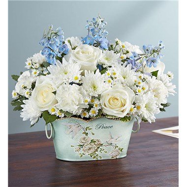 Peace And Healing Blue & White