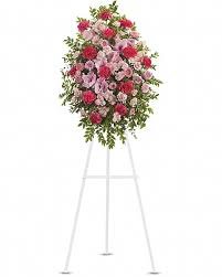Pink Tribute Spray Save & Compare