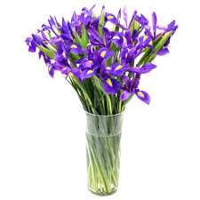 20 Iris Arrangement