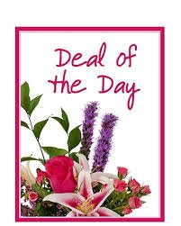 DEAL OF THE DAY!