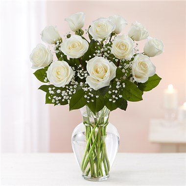 Rose Elegance Premium Long Stem White Roses