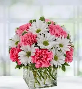 Daisy Dreams Bouquet