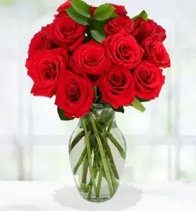 12 RED ROSES IN A VASE