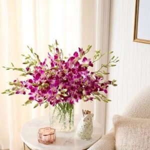 ***Exotic Breeze Orchids